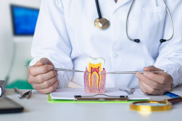 Best Emergency Orthodontic Repairs in Montgomery, IL